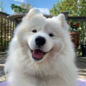 Meet your Posher, Rossiebell